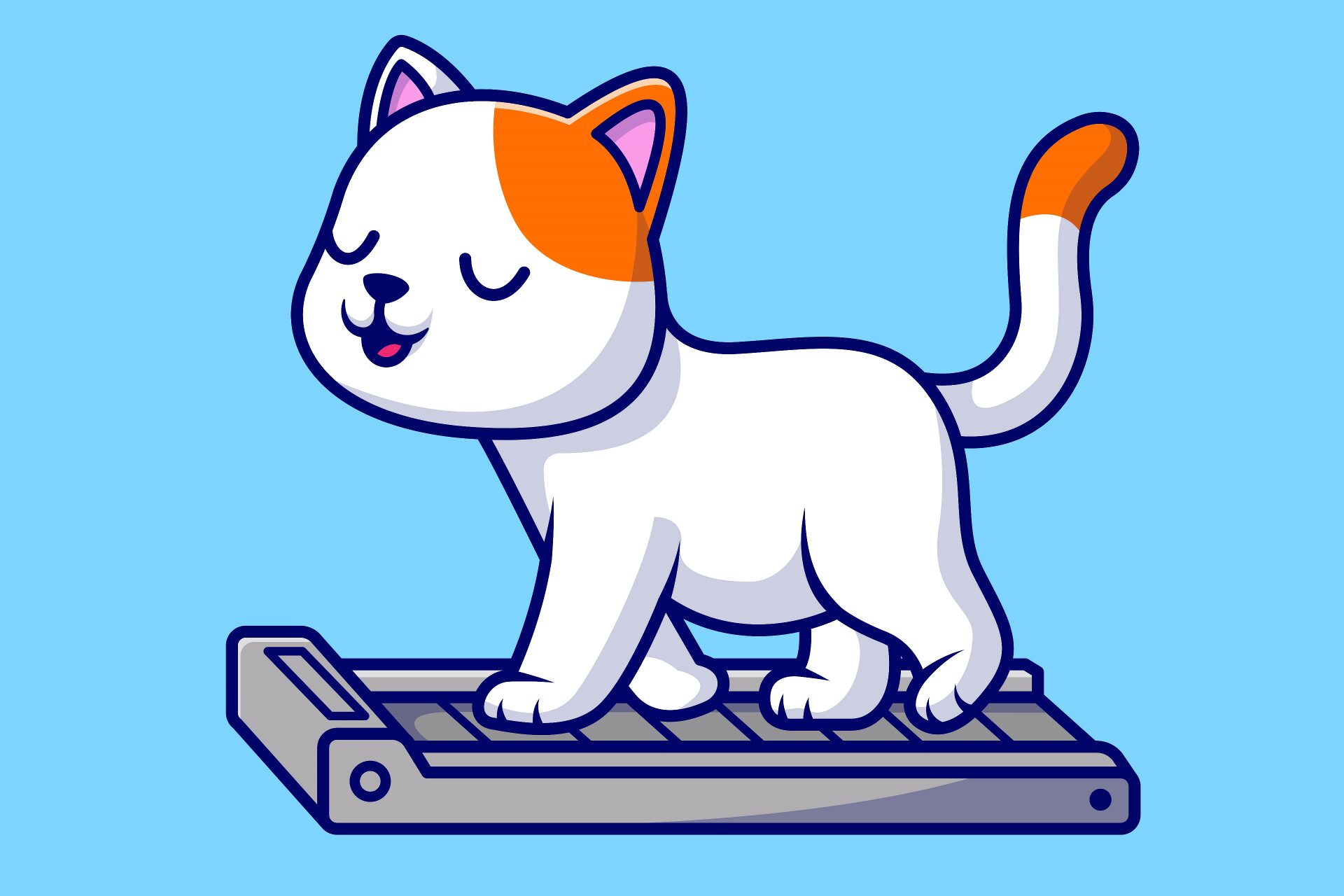 Qual o Peso Ideal para um Gato?