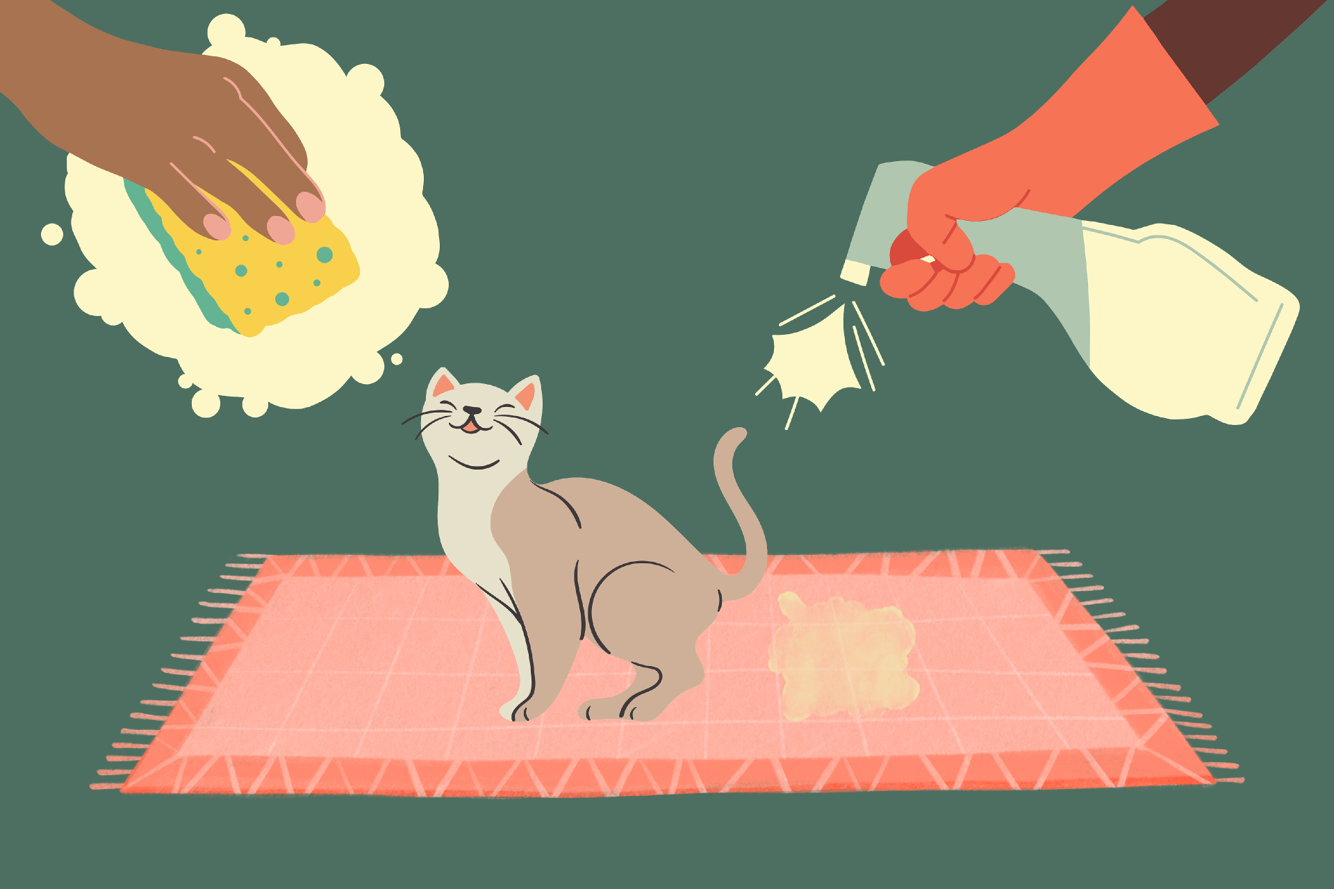 Como Neutralizar Odor de Urina de Gato e Eliminar Manchas