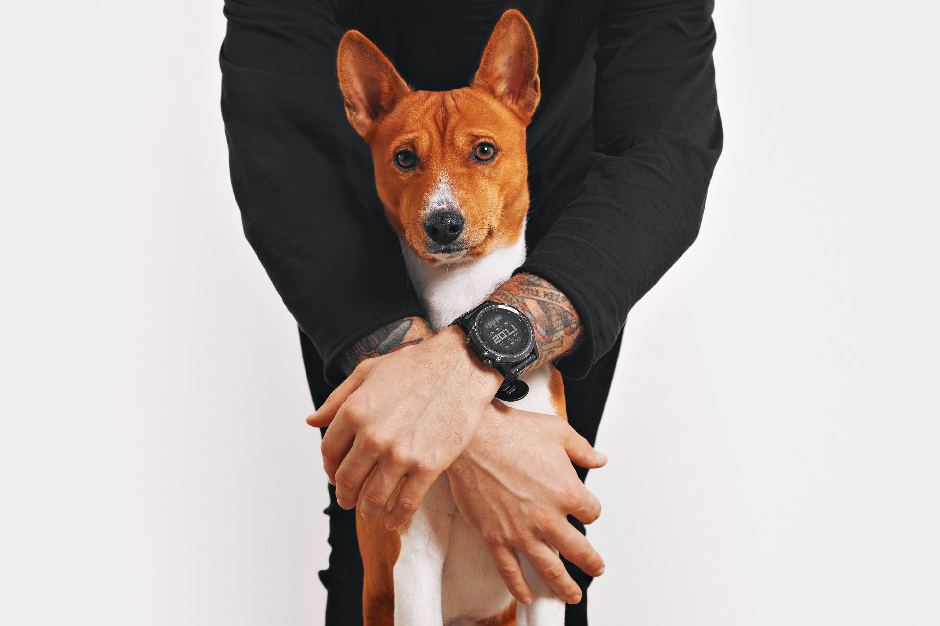 Que Cães são Hipoalergénicos?