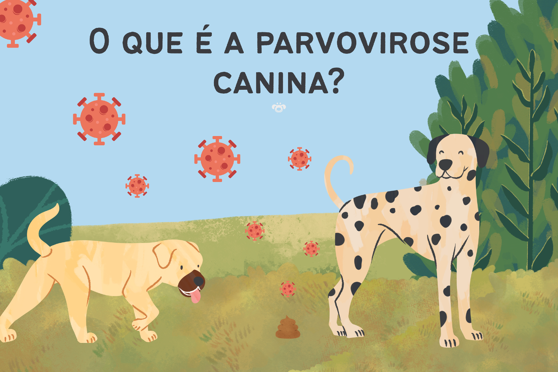 O Que é a Parvovirose Canina?