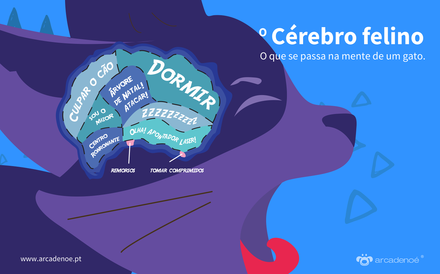 O Cérebro Felino